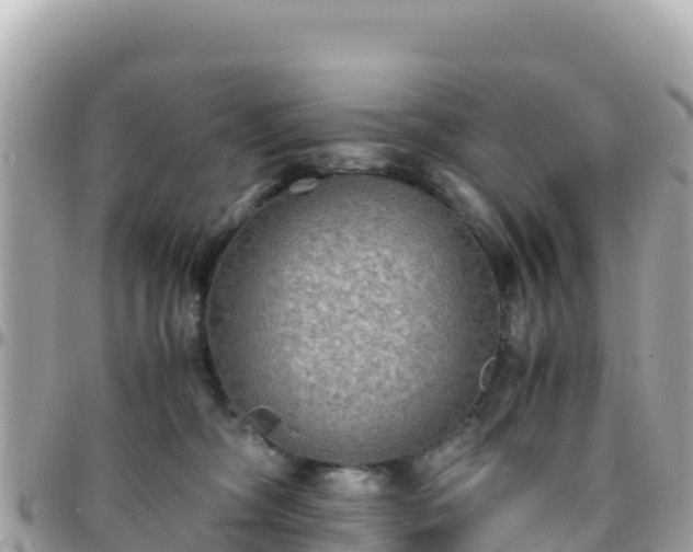 X0000096220326200801251102