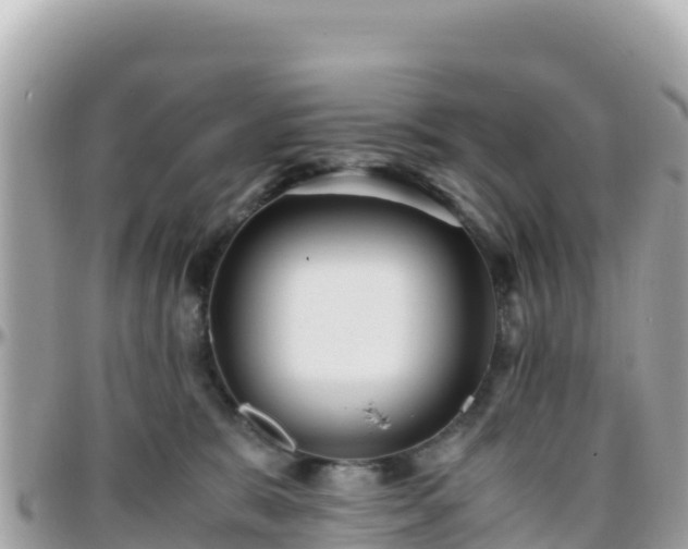 X0000096220327200801251102