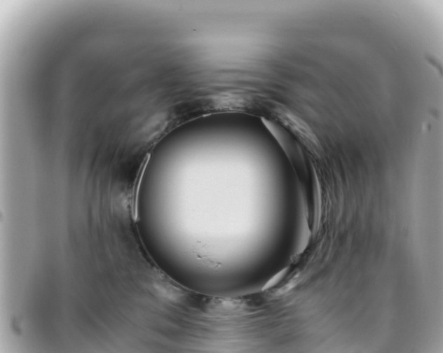 X0000096220329200801251102