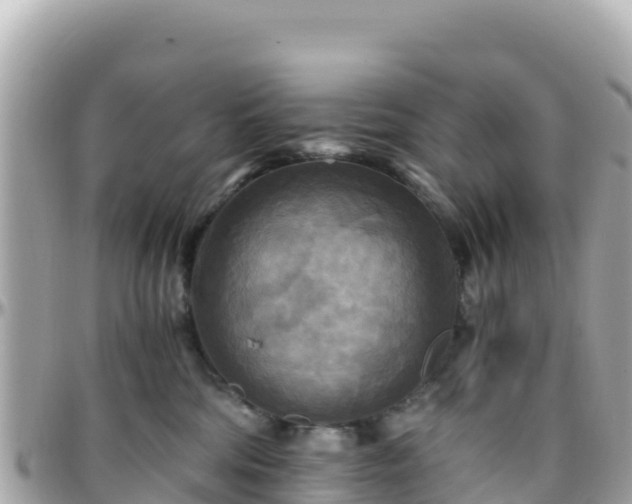 X0000096220330200801251102