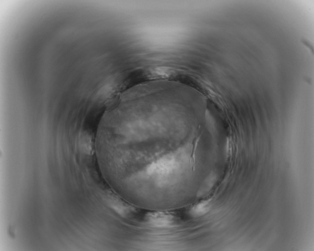 X0000096220331200801251102