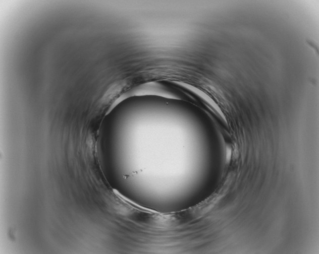 X0000096220333200801251102