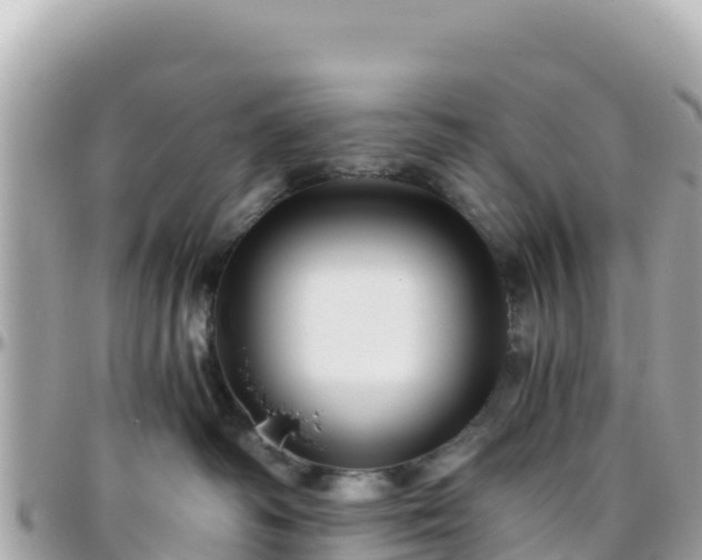 X0000096220334200801251102