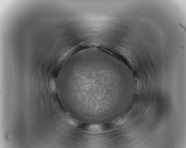 X0000096220335200801251102