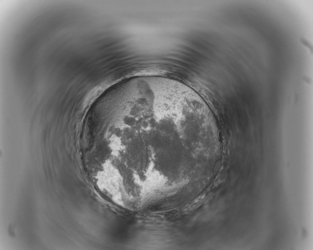 X0000096220337200801251101