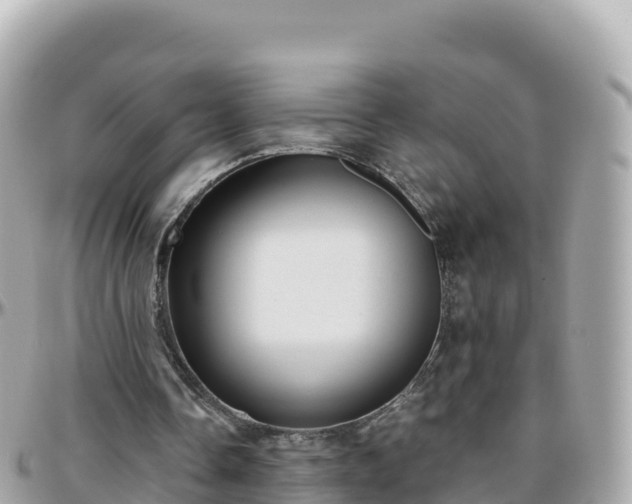 X0000096220338200801251101