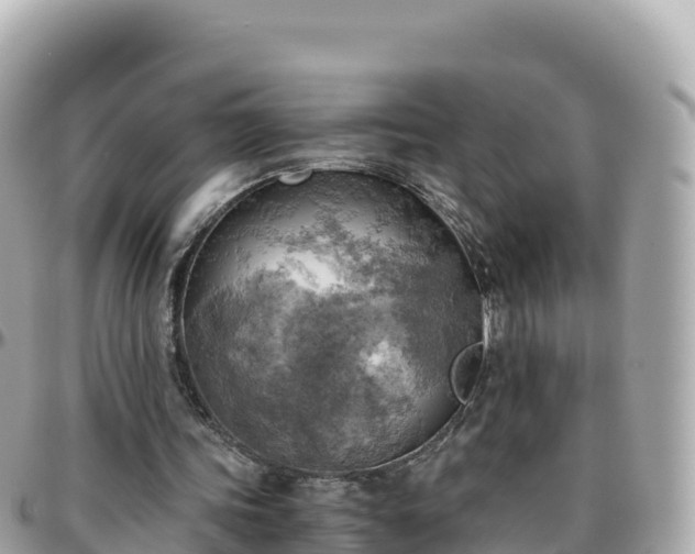 X0000096220339200801251101