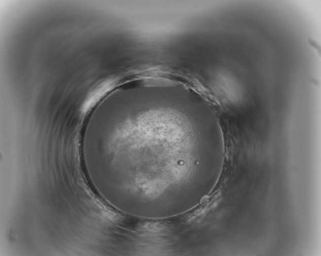 X0000096220341200801251102