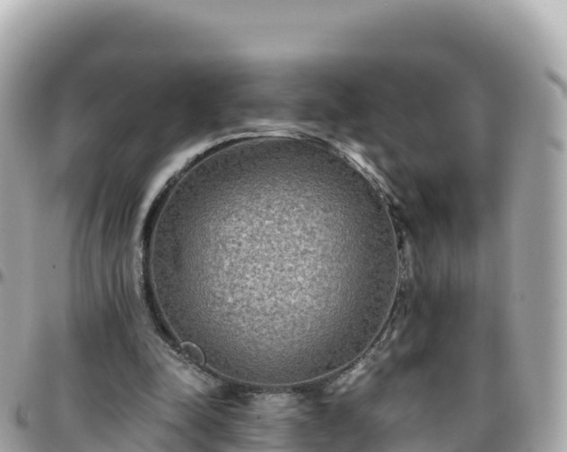 X0000096220342200801251102