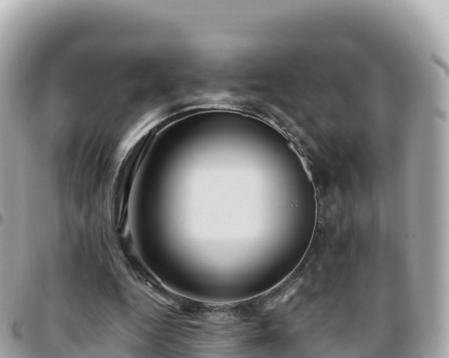 X0000096220344200801251102