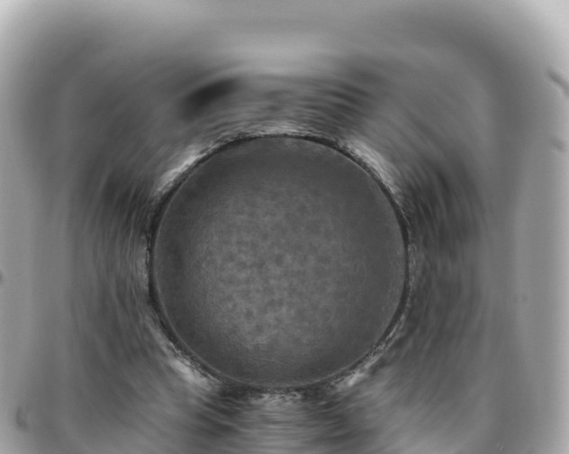 X0000096220345200801251102