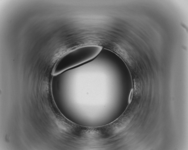 X0000096220348200801251102