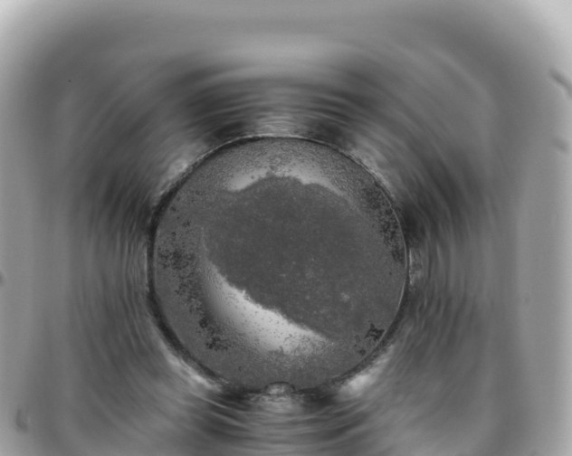 X0000096220349200801251102