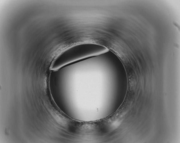 X0000096220350200801251102