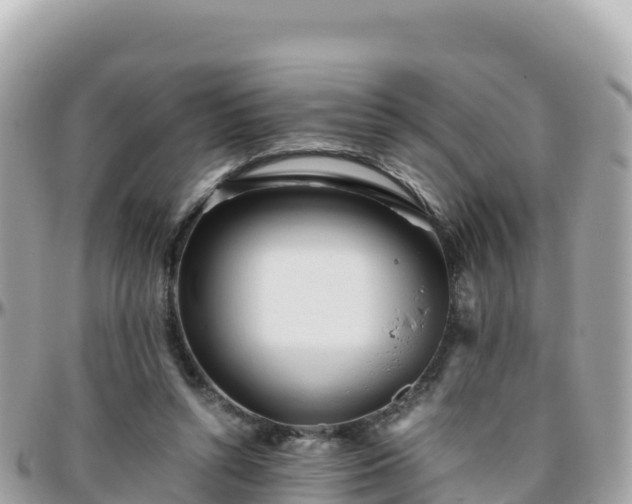 X0000096220352200801251102