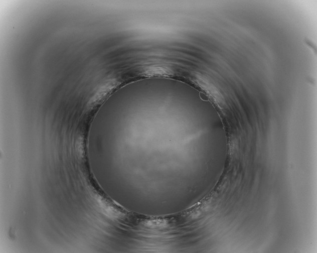 X0000096220353200801251102