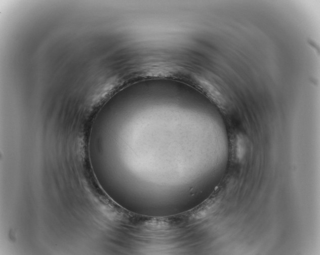 X0000096220354200801251102