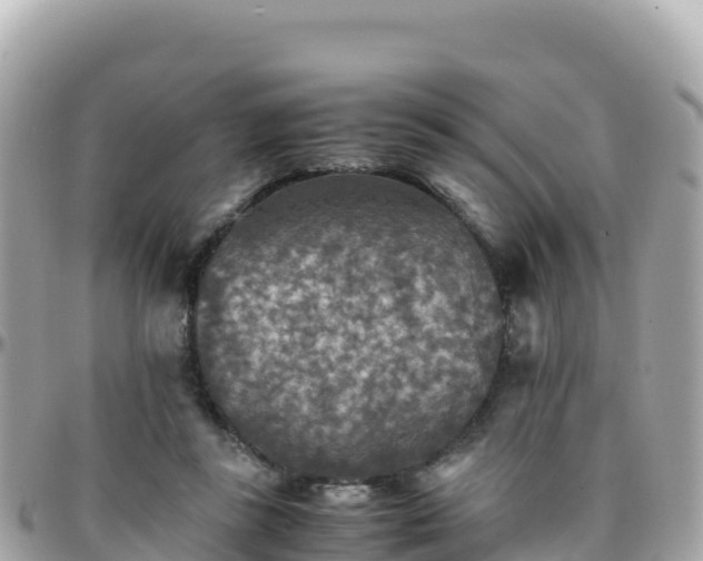 X0000096220355200801251102