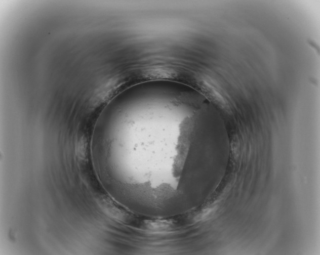 X0000096220359200801251102