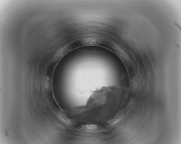 X0000096220361200801251102