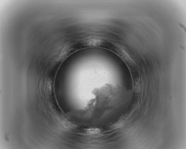 X0000096220363200801251102