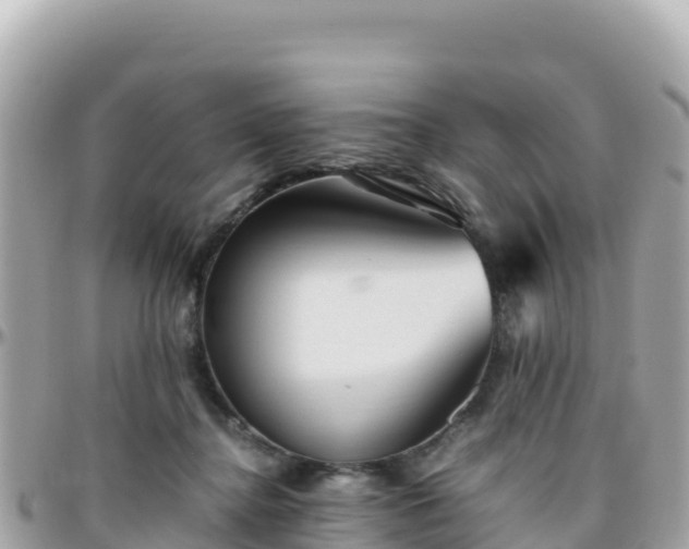 X0000096220364200801251102