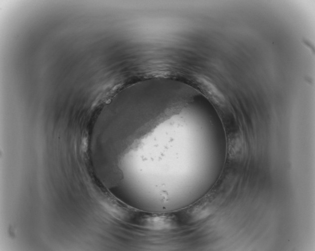 X0000096220365200801251102