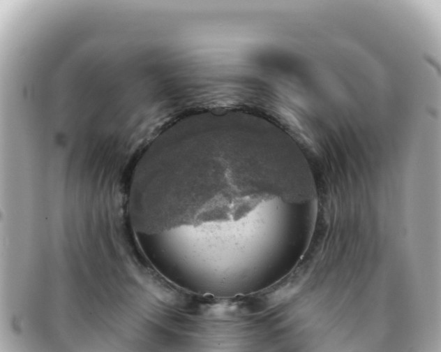 X0000096220366200801251102