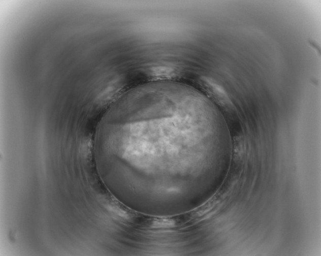 X0000096220369200801251102