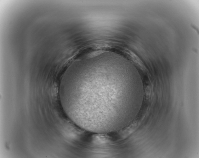 X0000096220372200801251102