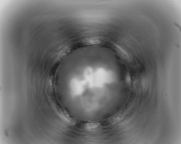 X0000096220373200801251102