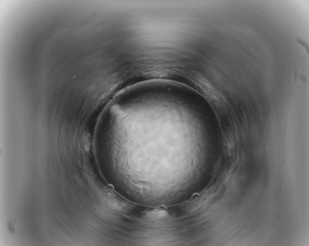 X0000096220374200801251102