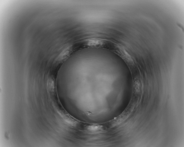 X0000096220375200801251102