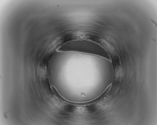 X0000096220376200801251102