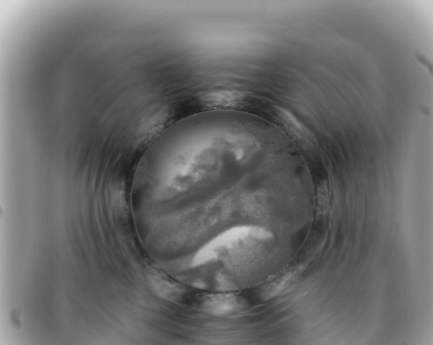 X0000096220377200801251102