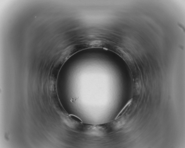 X0000096220379200801251102