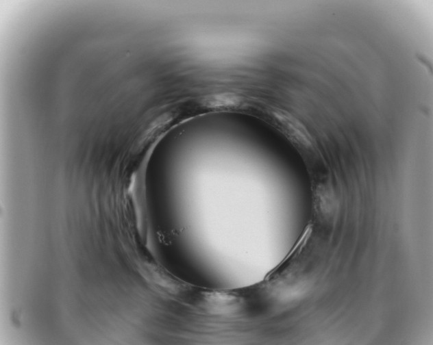 X0000096220380200801251102