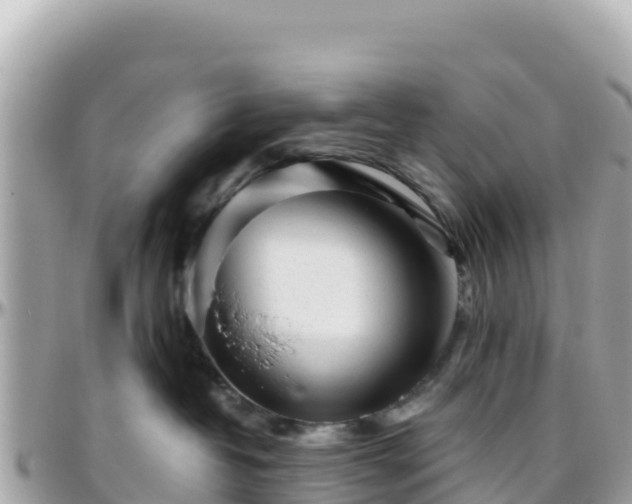 X0000096220382200801251102