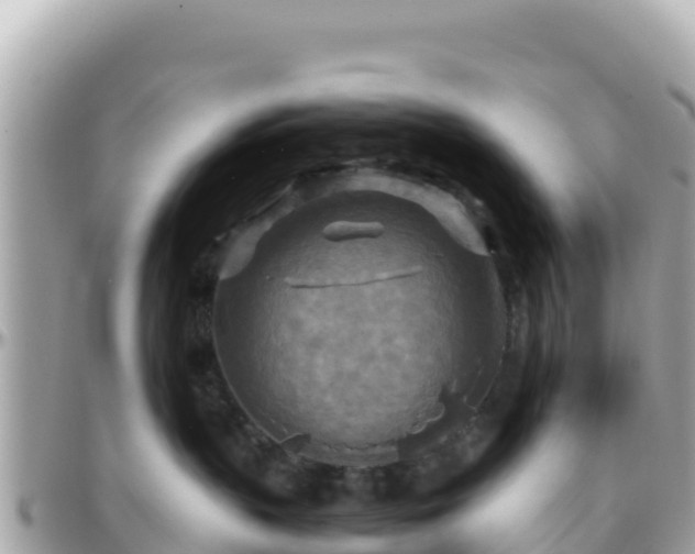 X0000096220383200801251102