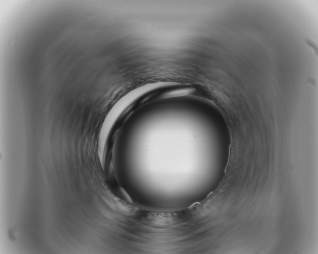 X0000096220384200801251102