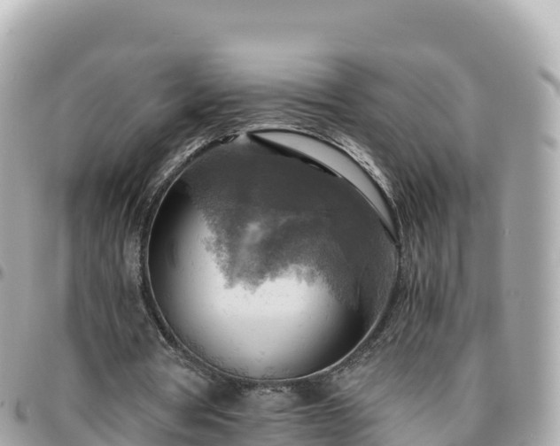 X0000096220386200801251101