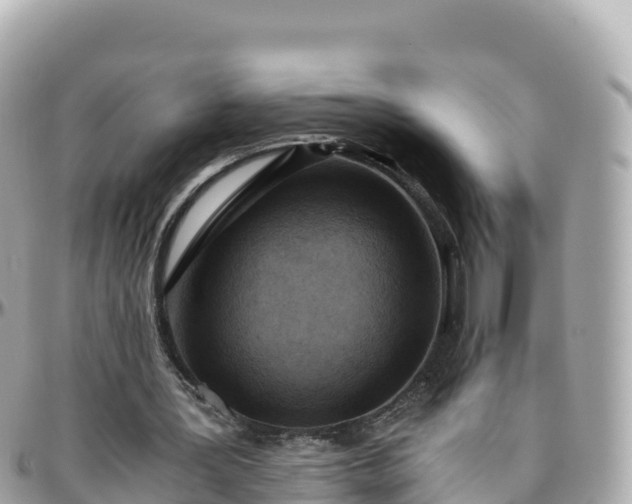 X0000096220387200801251101