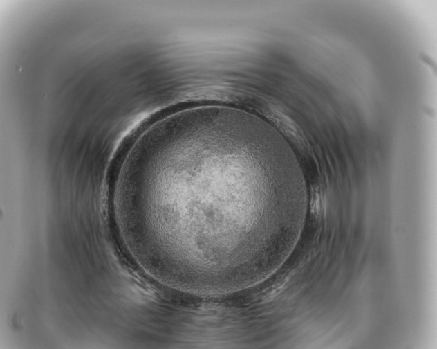 X0000096220388200801251101