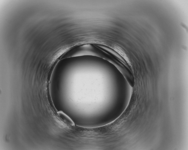 X0000096220389200801251101