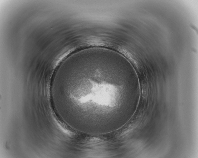 X0000096220390200801251101