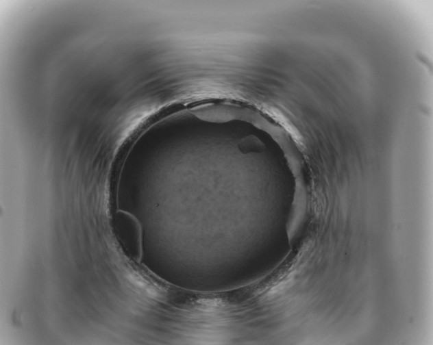 X0000096220391200801251101