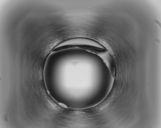 X0000096220393200801251101