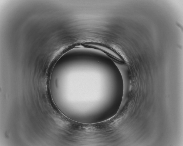 X0000096220395200801251101