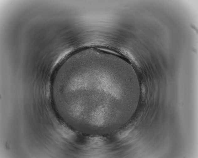 X0000096220396200801251101