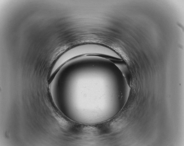 X0000096220397200801251101